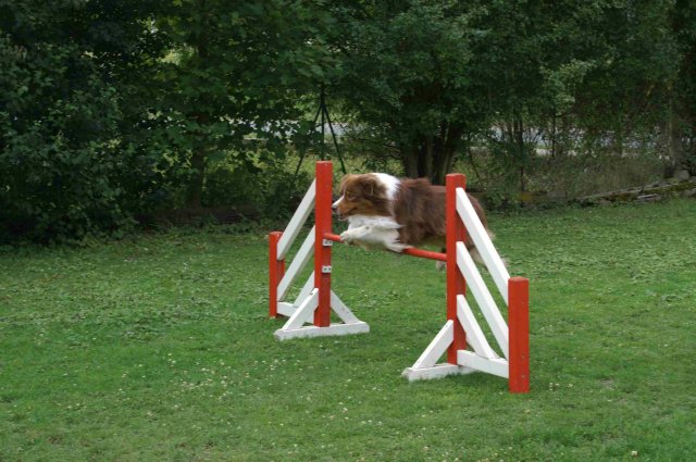 agility 2011-07-24